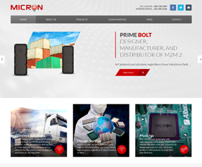 Micron Electronics