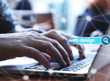 Web Design Elk Grove Village IL 