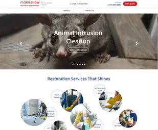 Floor Show Restorations Services