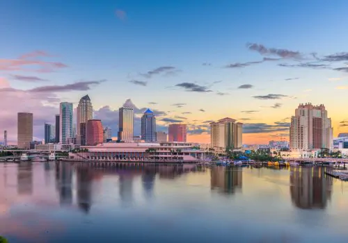Web Design Tampa